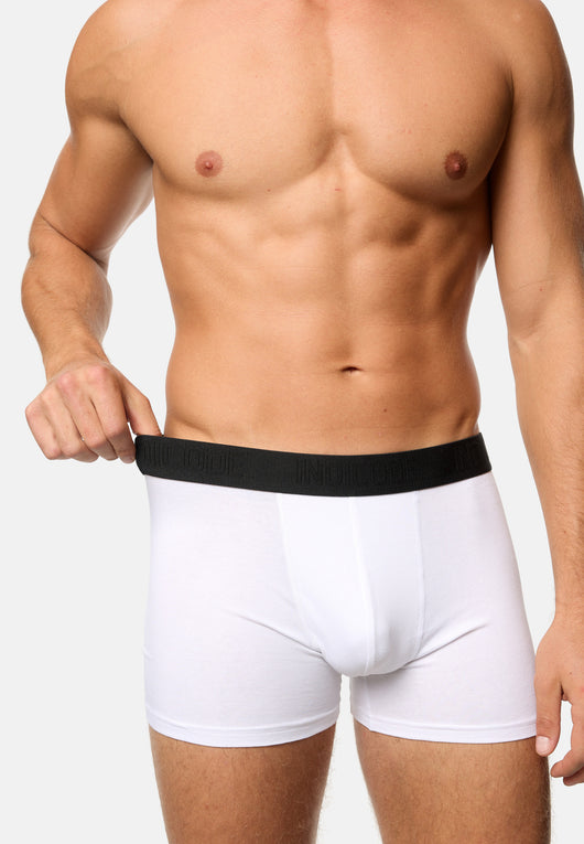 Boxershorts Copenhagen